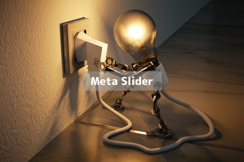 Meta Slider
