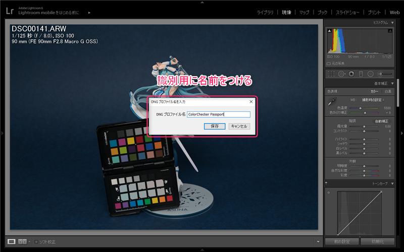 DNGプロファイル名を決める