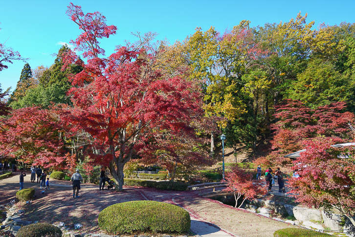 曽木公園(逆さ紅葉)」1