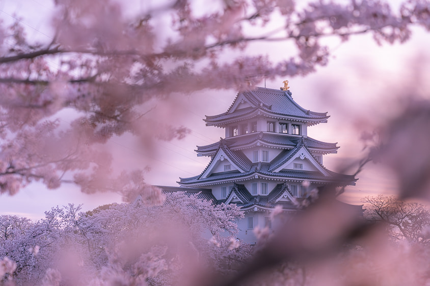 インスタ映えする撮影スポット