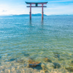 白鬚神社5