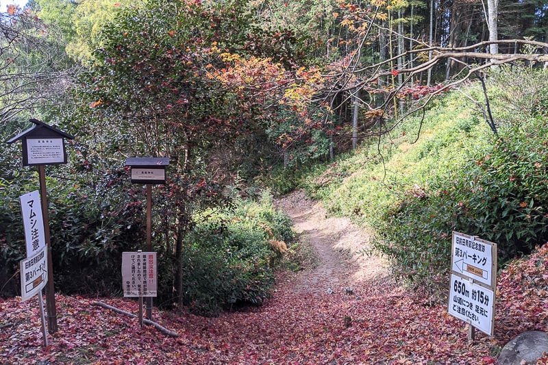 高森神社への道
