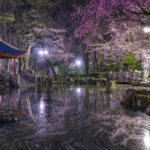 日中友好庭園1