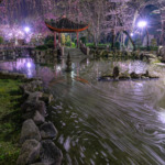 日中友好庭園3