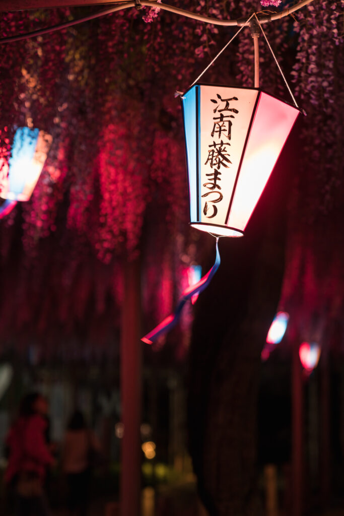 曼陀羅寺公園こうなん藤まつり5