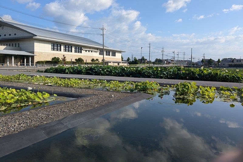 ふづきの池 注意事項