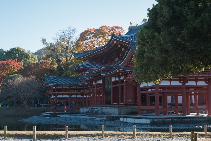 平等院（秋の夜間特別拝観）注意事項