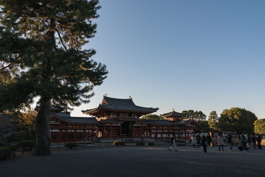 平等院（秋の夜間特別拝観）7