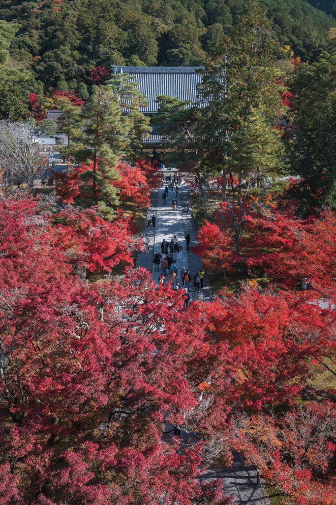 南禅寺山門3