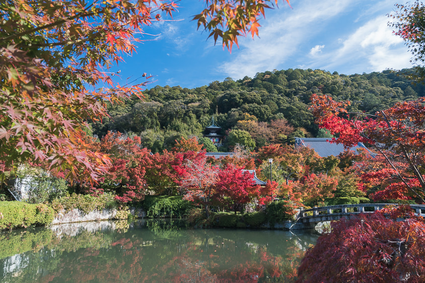 京都府京都市左京区「永観堂（秋の寺宝展）」へのアクセスと撮影スポット